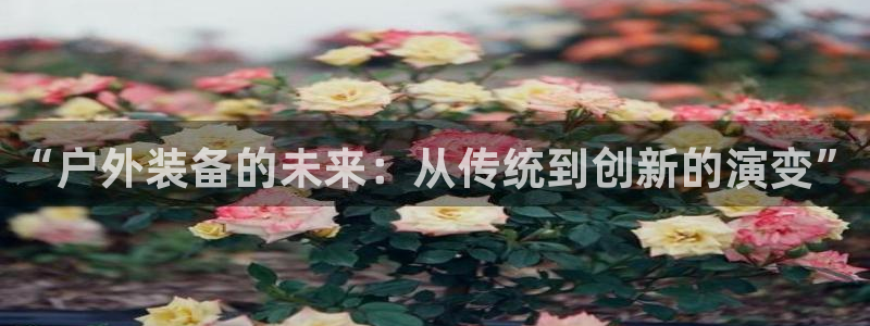 先锋娱乐软件