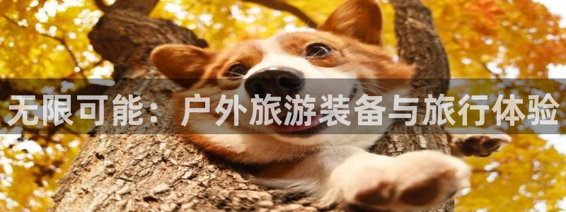 先锋综合娱乐