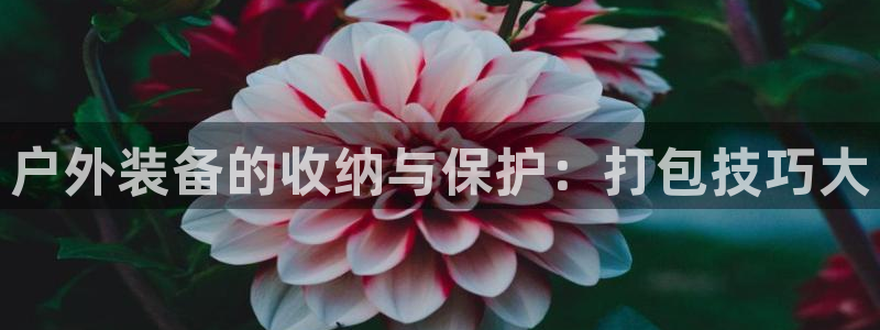 先锋娱乐挂