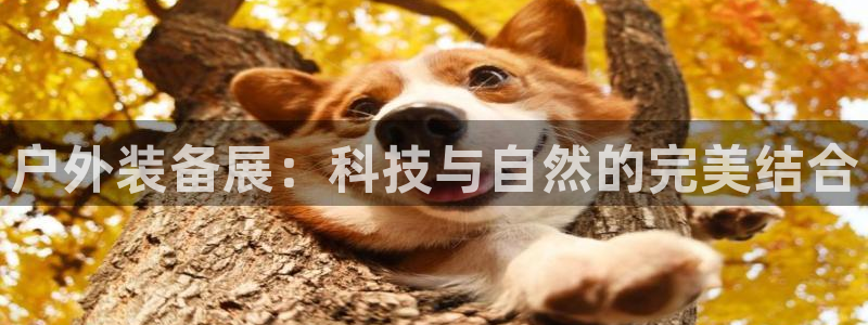 先锋娱乐侠