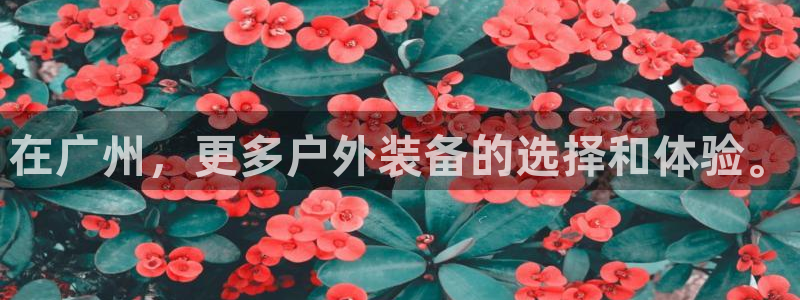 先锋娱乐邀请码多少